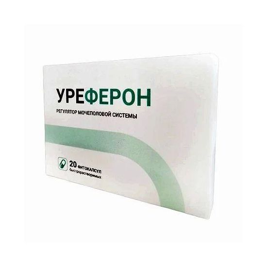 Капсули від простатиту Уреферон Уреферон